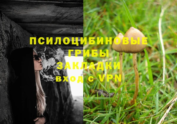 a pvp Богородск